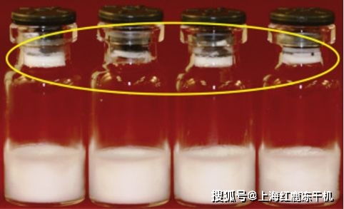 化妝品凍干機(jī) 凍干粉產(chǎn)品外觀質(zhì)量問(wèn)題分析