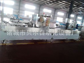 食品真空包裝機 豆筋真空包裝機 辣條真空包裝機